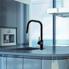 Modern Style 304 Stainless Steel Kitchen Sink Water Tap Black Color Pull Down Kitchen Faucet